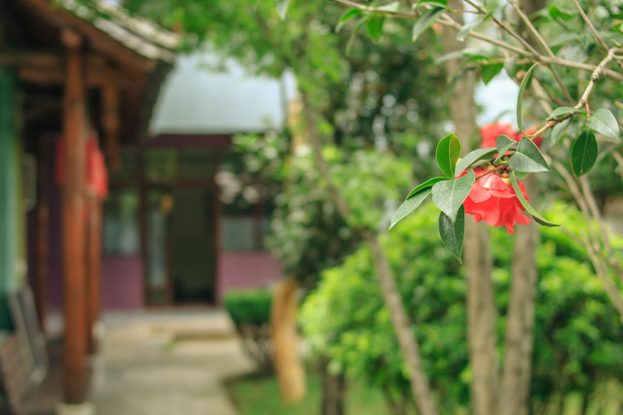 Ooh Countryard Inn 다리 외부 사진